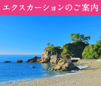 エクスカーションのご案内